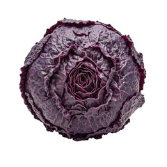 Obraz premium Fresh dark purple cabbage tightly packed with crisp leaves isolated on white Perfect for food and health themed designs