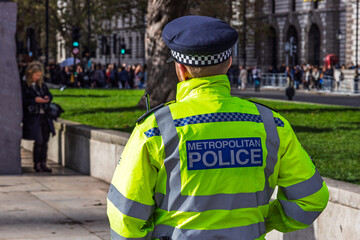 Back view of UK police officer monitoring crowd in central London park area