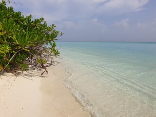 Where Tropical Foliage Meets the Turquoise Waters of the Maldives