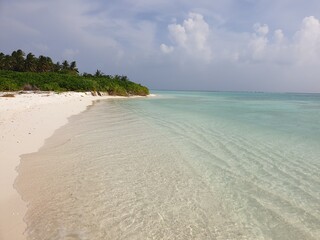 A Tranquil Maldives Shoreline: Where Crystal Waters Meet Tropical Foliage