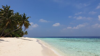 A Tropical Paradise: Turquoise Waters Framed by Palm Trees on a Sandy Beach