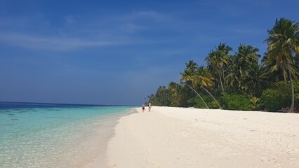 A Tropical Paradise: Turquoise Waters Framed by Palm Trees on a Sandy Beach