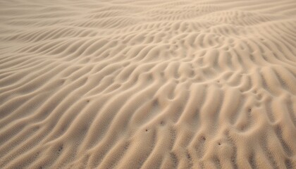 Exploring the serenity of sand dunes desert landscape nature photography warm environment ground level view tranquility concept