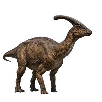 Fototapeta Majestic Parasaurolophus Dinosaur Isolated