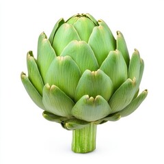 Fototapeta premium Fresh whole artichoke with tightly packed green leaves and a slightly pointed tip isolated on a white background 