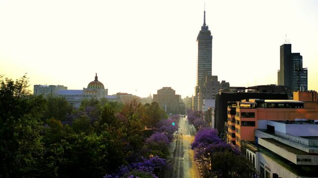 Centro hist&oacute;rico de la Ciudad de M&eacute;xico, amanecer en primavera con jacarandas