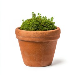 Rustic clay flower pot with a rough textured surface and mossy patches isolated on a white background 