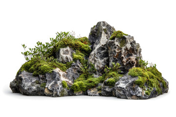 a rock with moss growing on it cutout and isolated on transparent background 