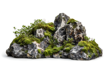a rock with moss growing on it cutout and isolated on transparent background 