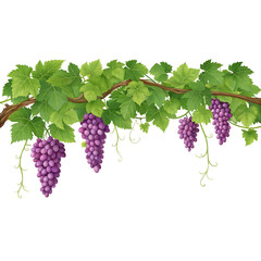 Purple Grapevine with Clusters in Natural Setting