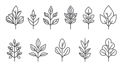 Minimalist line art plant illustrations; nature design elements for websites, logos, and prints