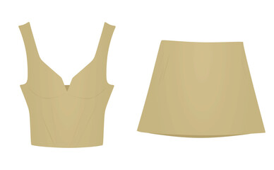 Brown  top and skirt. vector