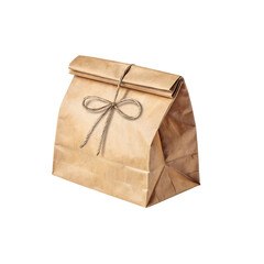 Eco Friendly Brown Paper Bag with Tied String