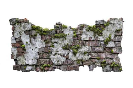 moss growing on a brick wall cutout and isolated on transparent background 