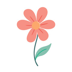 Fototapeta premium Flower illustration, figure pattern, flower background, flower material, figure graphic, spring poster, flower pattern, flower sticker, plant drawing, emotional flower, figure branding, flower texture