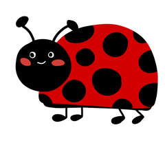 Obraz premium ladybird vector illustration