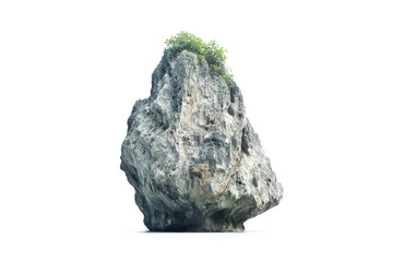 a rock with a small tree growing on top cutout and isolated on transparent background 