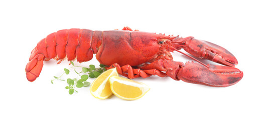 Tasty boiled lobster, lemon and microgreens isolated on white