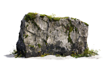 a rock with moss growing on it cutout and isolated on transparent background 
