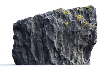 a rock with a plant growing on it cutout and isolated on transparent background 