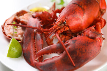 Delicious boiled lobster served on white table, closeup