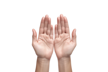 two hands are raised up to the sky cutout and isolated on transparent background 