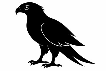 Obraz premium tailed hawk black silhouette vector
