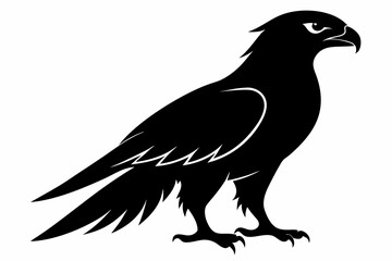 tailed hawk black silhouette vector
