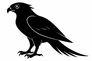 Fototapeta premium tailed hawk black silhouette vector