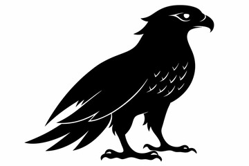 Fototapeta premium tailed hawk black silhouette vector