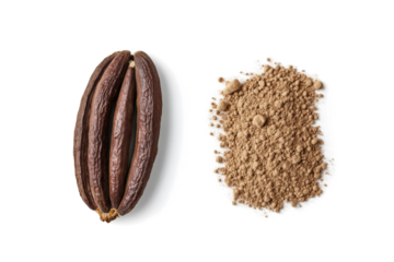 cocoa powder and cocoa pods cutout and isolated on transparent background 