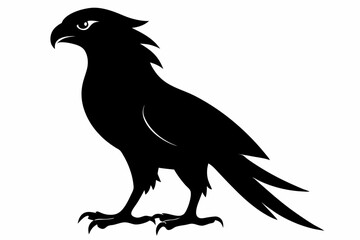 Obraz premium tailed hawk black silhouette vector