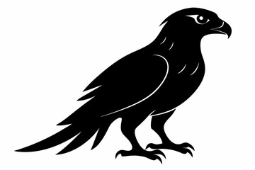 tailed hawk black silhouette vector