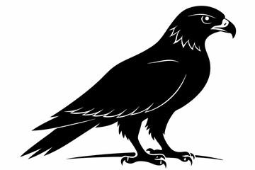 tailed hawk black silhouette vector