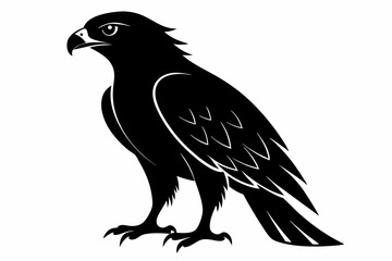 Obraz premium tailed hawk black silhouette vector