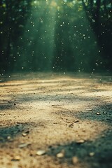 Forest Floor Sunlight Rays