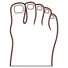 Outlined Foot Toes Detail on White Background Brown Outline