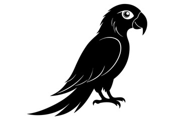 Fototapeta premium parrot silhouette black silhouette vector