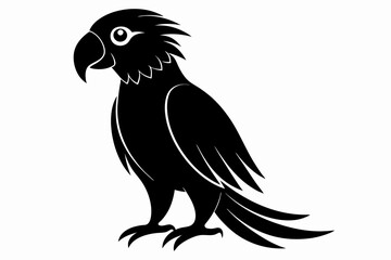Obraz premium parrot silhouette black silhouette vector