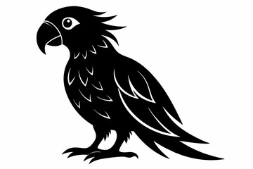 Obraz premium parrot silhouette black silhouette vector