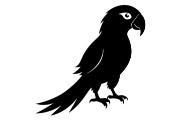 Obraz premium parrot silhouette black silhouette vector
