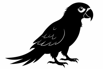 Obraz premium parrot silhouette black silhouette vector