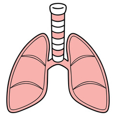 Simple Lungs & Windpipe Anatomy Diagram on White Background