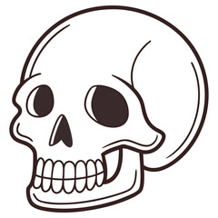 Cartoon Human Skull Outline with Dark Brown Details on Transparent Background