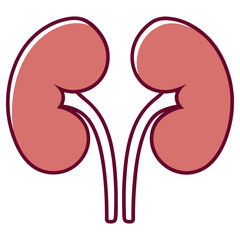 Kidney with Transparent Background, Anatomical, Organ, Medical Icon