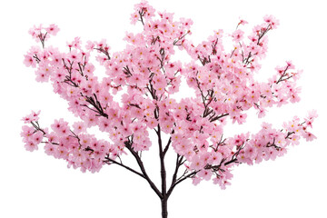 Obraz premium artificial artificial cherry blossom tree pink cutout and isolated on transparent background 