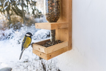 Blue Tit at DIY Window Bird Feeder / Concept: Wooden Bird Feeding Station with Glass Bottle for Winter Garden
