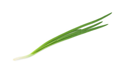 Fototapeta premium Fresh green onion isolated on white, top view