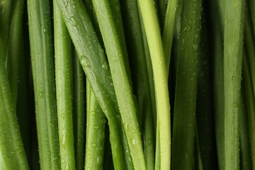 Fototapeta premium Fresh green onions with water drops as background, top view