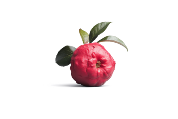 a red pome with leaves on it cutout and isolated on transparent background 
